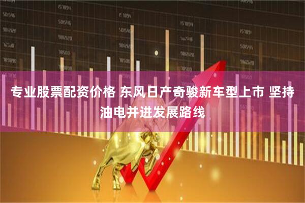 专业股票配资价格 东风日产奇骏新车型上市 坚持油电并进发展路线